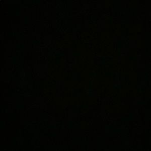 Meet your Posher, Hector